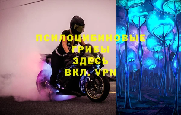 винт Армянск