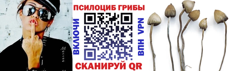 Псилоцибиновые грибы Psilocybe  как найти закладки  Сосенский 